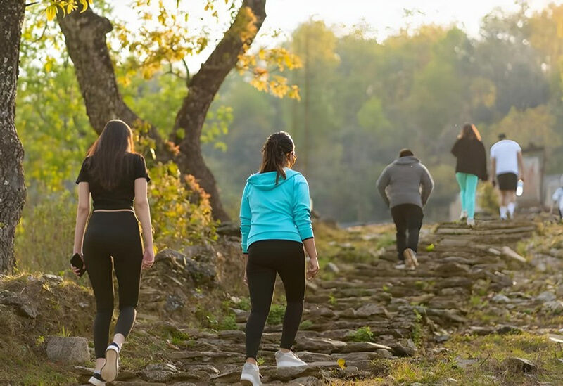 Guests walking up a stone path through trees near Rupakot Resort